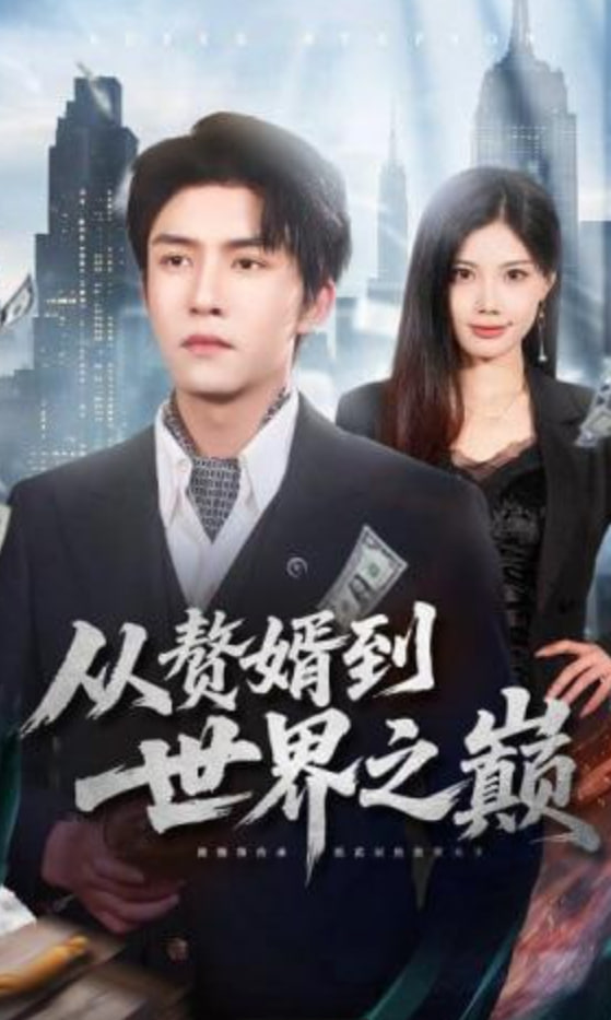 从赘婿到世界之巅(全集)
