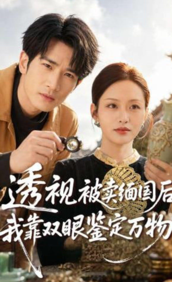 透视被卖缅国后我靠双眼鉴定万物(全集)