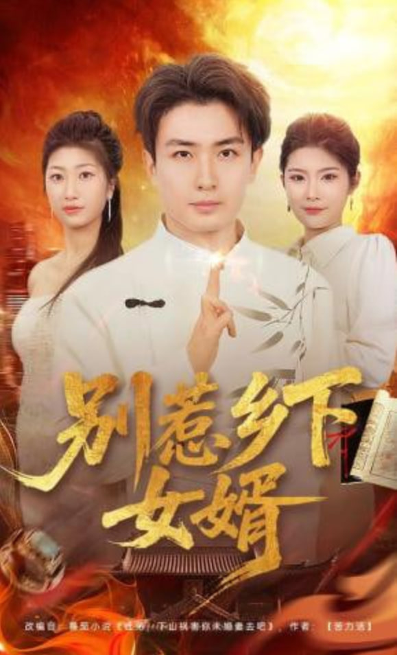 别惹乡下女婿(全集)