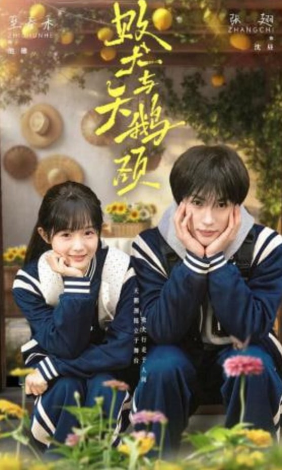 败犬与天鹅颈(全集)