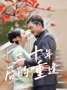 二十年后的重逢第1-20集