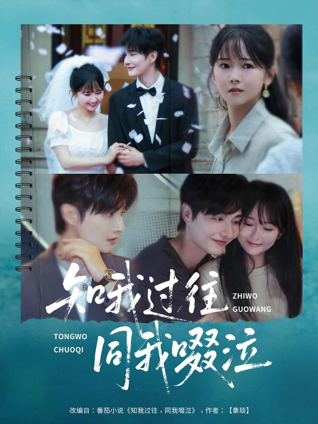 知我过往同我啜泣(全集)