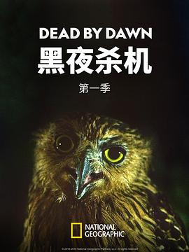 黑夜杀机第一季(全集)