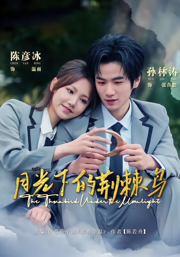 月光下的荆棘鸟(全集)